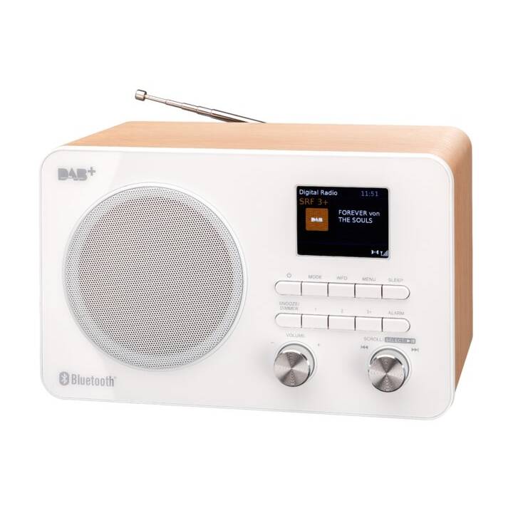ICONNEX NE-6557 Radio digitale (Bianco)