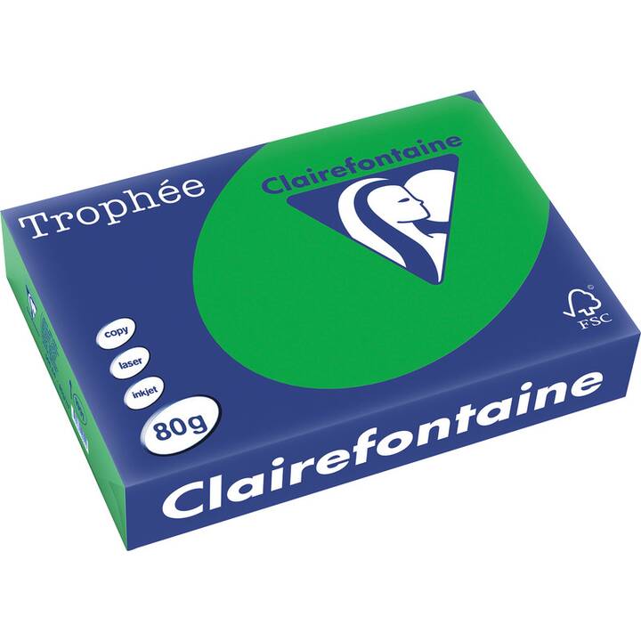 CLAIREFONTAINE Carta colorata (500 foglio, A4, 80 g/m2)