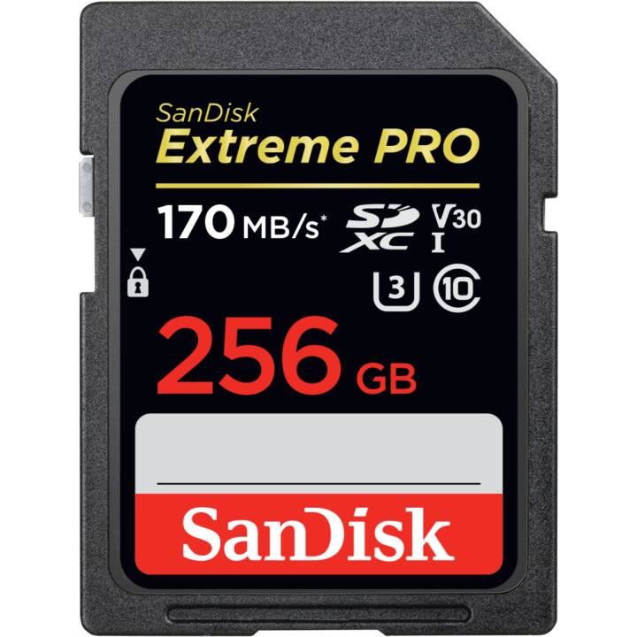 SANDISK SDXC Extreme PRO (Class 10, 256 GB, 170 MB/s)