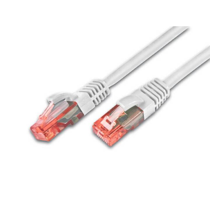 WIREWIN PKW-UTP-KAT6 7.0 WS Câble réseau (RJ-45, RJ-45, 7 m)