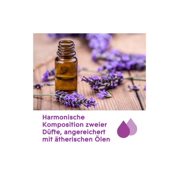 GLADE Geräteduftöl Aromablends Moment of Zen (Lavendel, Sandelholz)