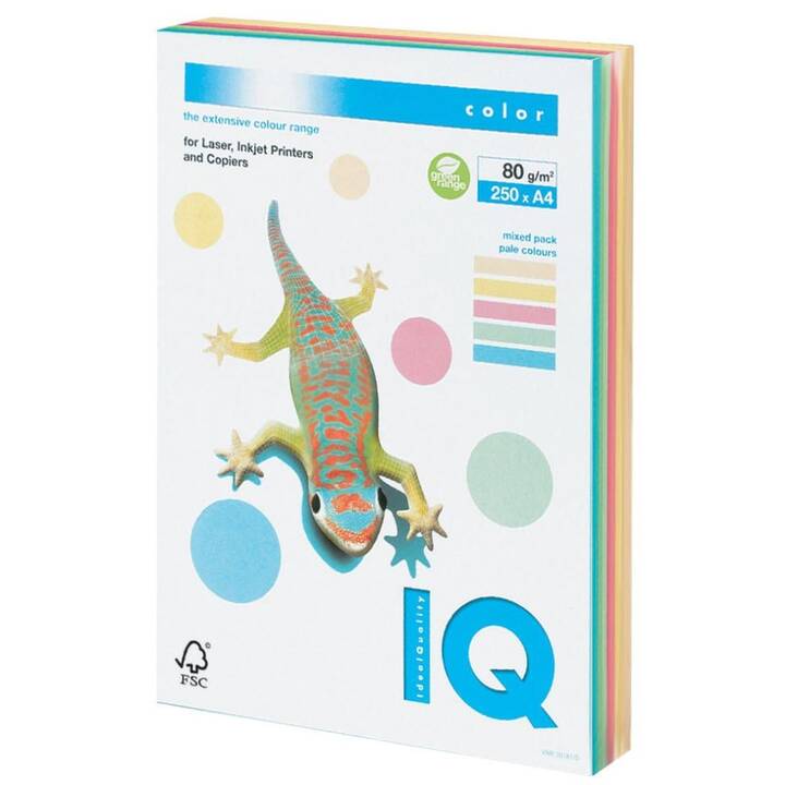 ANTALIS IQ Papier couleur (250 feuille, A4, 80 g/m2)