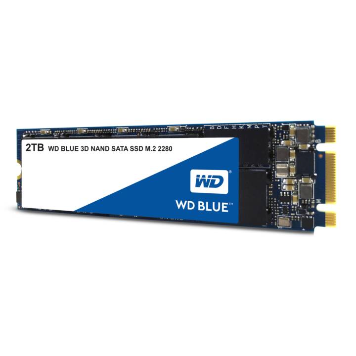 WESTERN DIGITAL SSD WD Blue (SATA-III, 2000 GB)