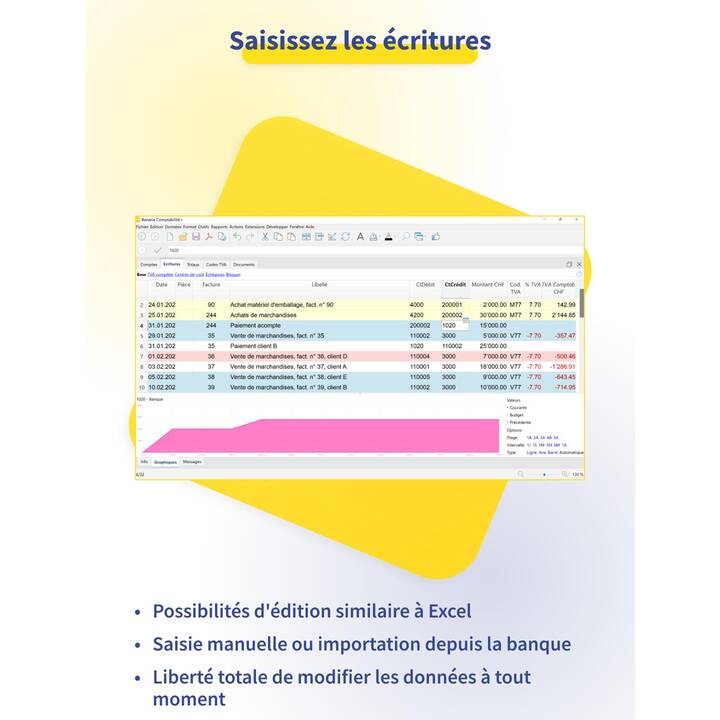 BANANA Comptabilité Plus - Professional (Abbonamento, 1 anno, Francese)