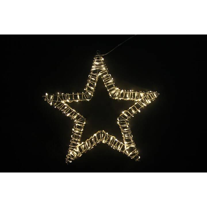 DAMECO Statuetta di luce natalizia (Stella, 150 LEDs)