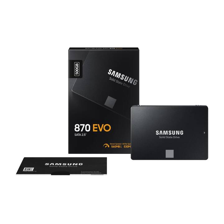 SAMSUNG SSD 870 EVO (SATA-III, 500 GB)