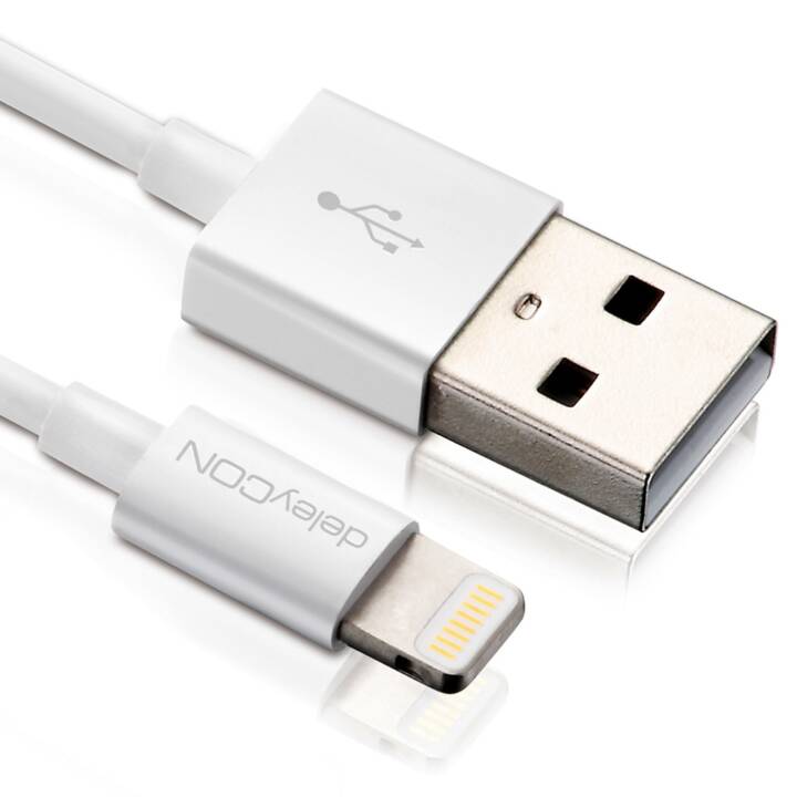 DELEYCON Câble USB (Lightning, USB 2.0 de type A, 1 m)