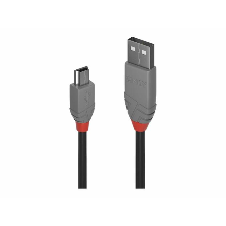LINDY Câble USB (USB 2.0 Mini Type-B, USB 2.0 Type-A, 50 cm)