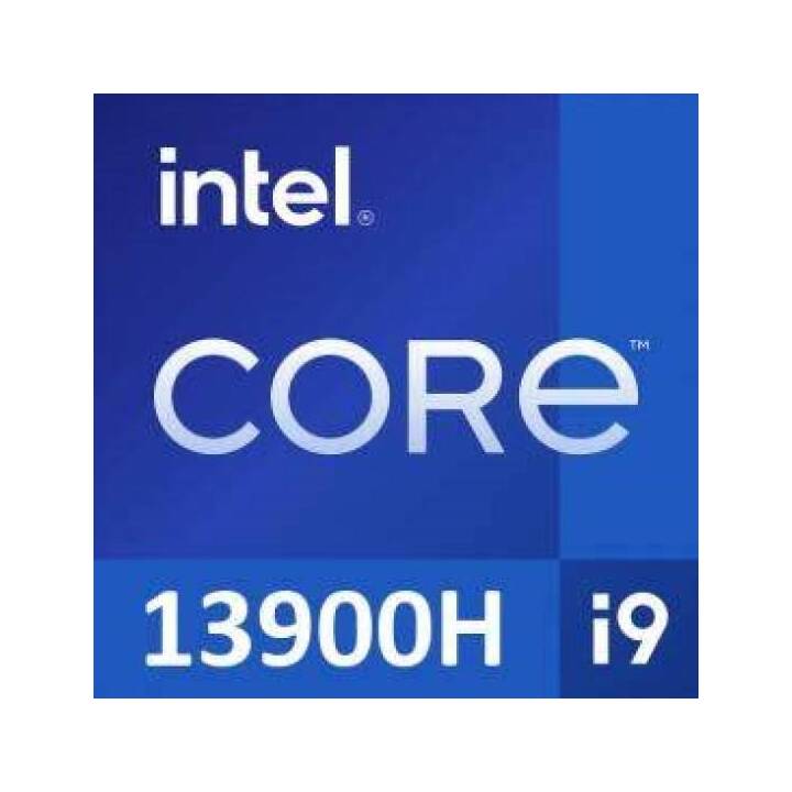 HP OMEN 17-CK2948NZ (17.3", Intel Core i9, 32 GB RAM, 1000 GB SSD)