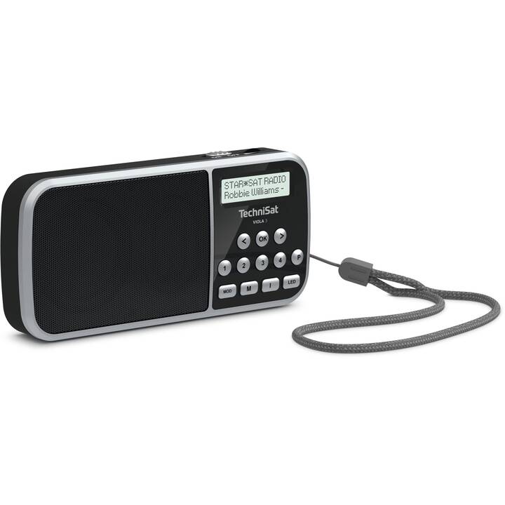 TECHNISAT Viola 3 Radio digitale (Argento, Black)