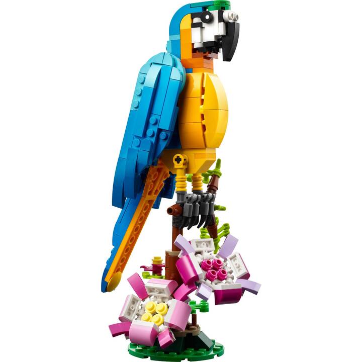 LEGO Creator 3-in-1 Le perroquet exotique (31136)