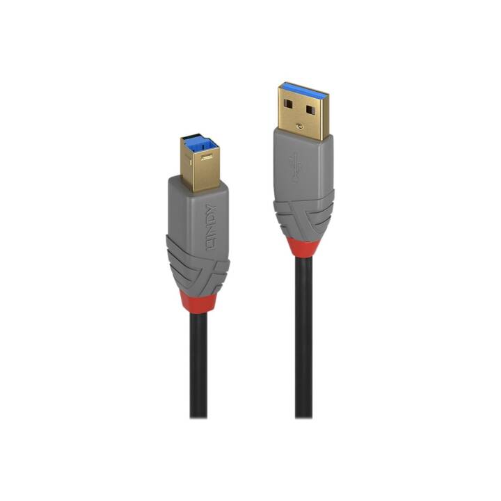 LINDY Câble USB (USB 3.0 Type-B, USB 3.0 Type-A, 5 m)