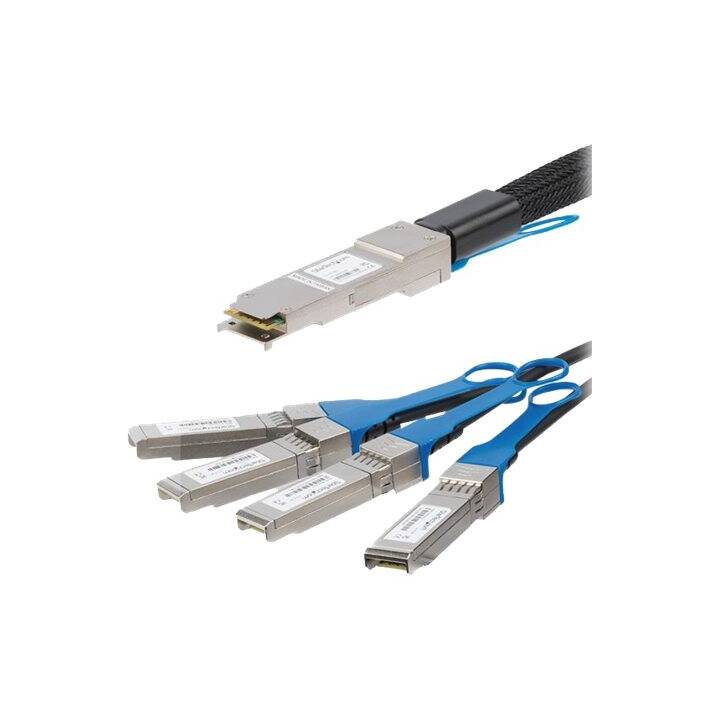 STARTECH.COM QSFP4SFP10C5 Câble réseau (SFP+, QSFP+, 5 m)