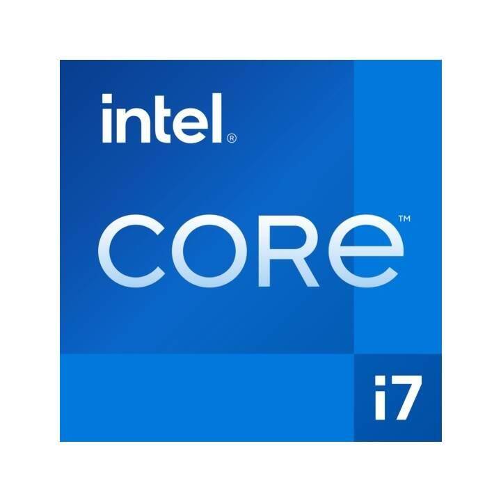 JOULE PERFORMANCE Force (Intel Core i7 11700F, 16 GB, 500 GB SSD, NVIDIA GeForce RTX 4070)