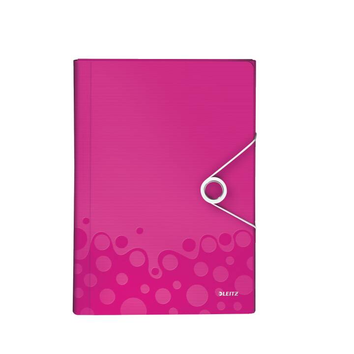 LEITZ Organisationsmappe (Silber, Pink, A4, 1 Stück)
