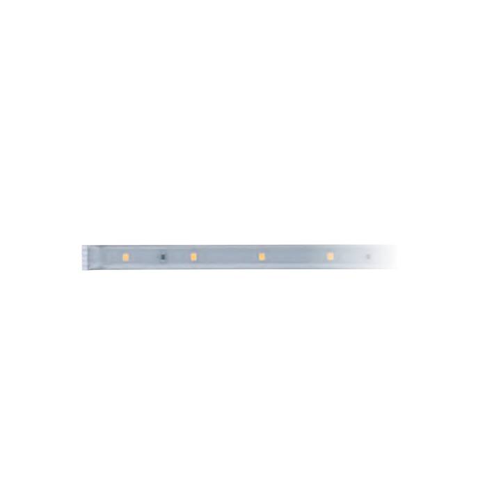 PAULMANN MaxLED LED Light-Strip (2.5 m)