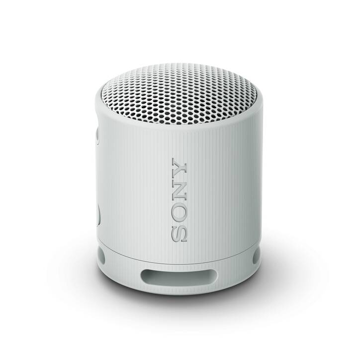 SONY SRS-XB100 (Gris)