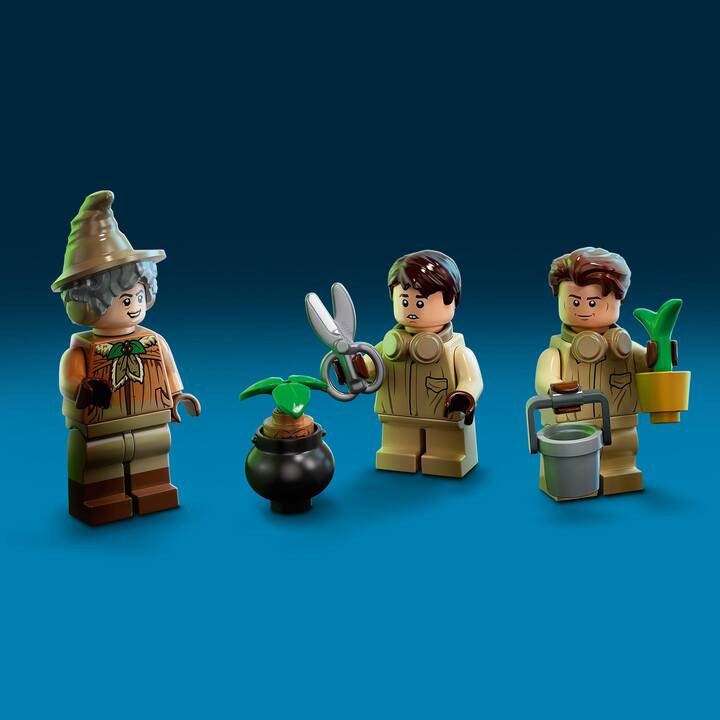 LEGO Harry Potter Poudlard: le cours de botanique (76384)