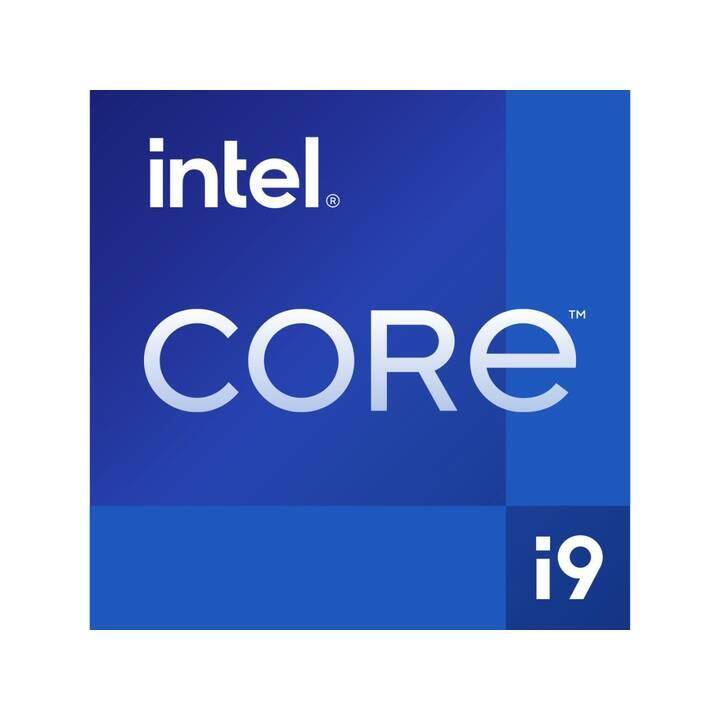 JOULE PERFORMANCE L1127249 (Intel Core i9 14900K, 32 GB, 2 TB SSD, 4 TB HDD, Nvidia GeForce RTX 4070 Ti Super)