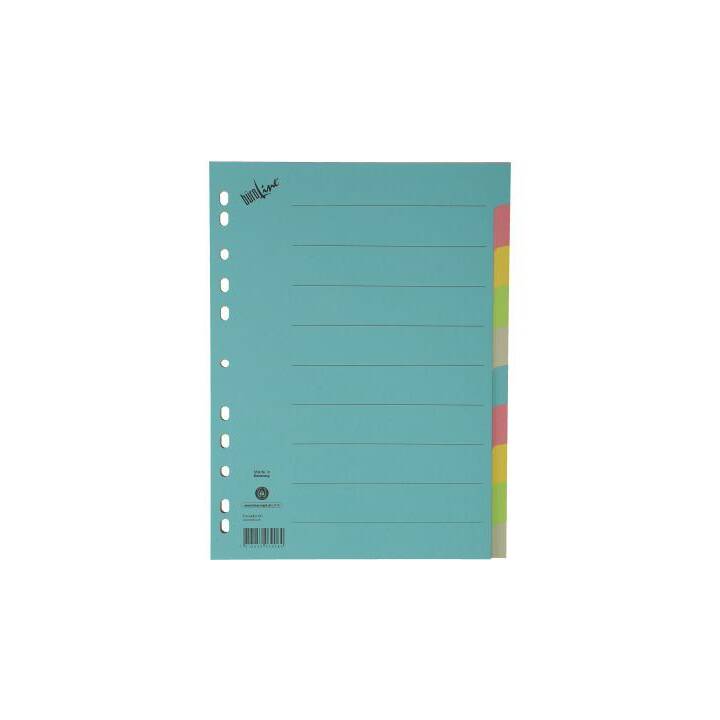 BÜROLINE Register (10 x A4, Farblich)