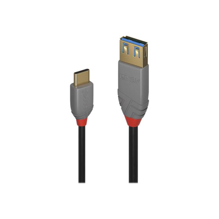 LINDY Black Line Câble USB Type C, 15 cm