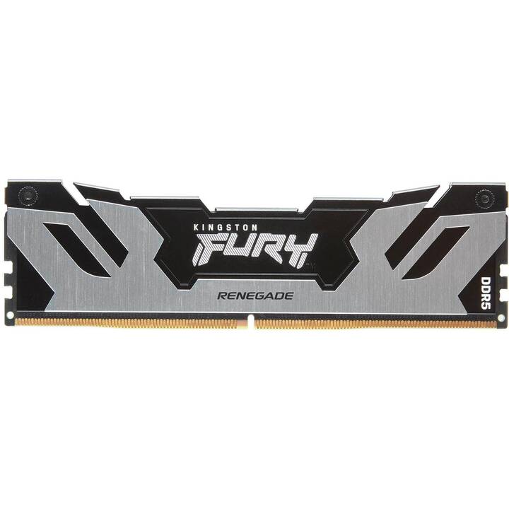 KINGSTON TECHNOLOGY Fury Renegade KF564C32RS-48 (1 x 48 Go, DDR5 6400 MHz, DIMM 288-Pin)