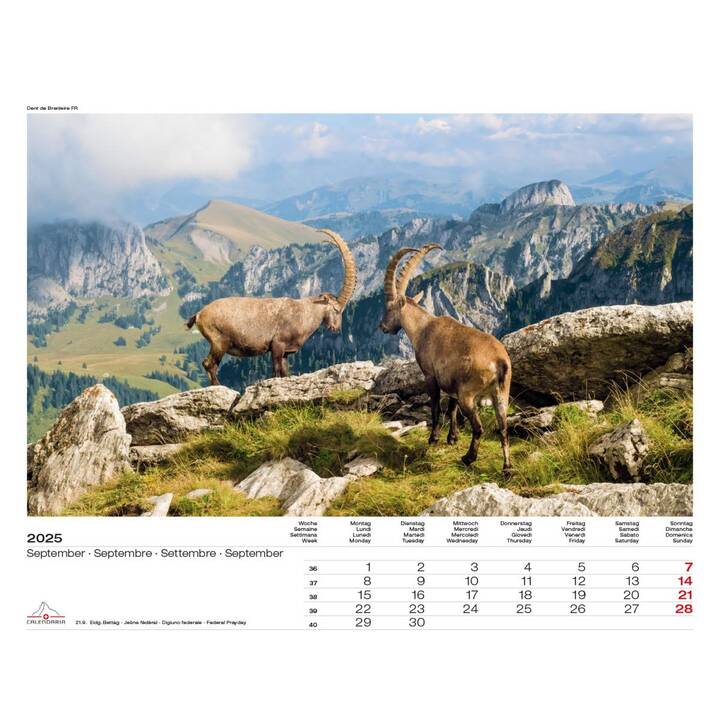 CALENDARIA Wandkalender  Swiss Panorama 2025