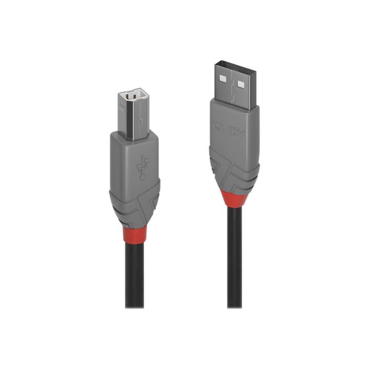LINDY Câble USB (USB 2.0 Type-B, USB 2.0 Type-A, 5 m)