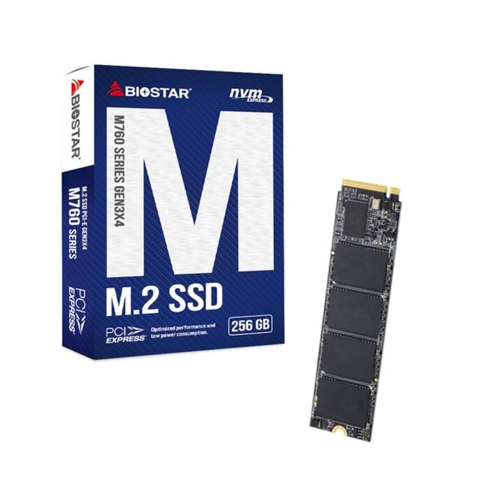 BIOSTAR M760 (PCI Express, 256 GB)