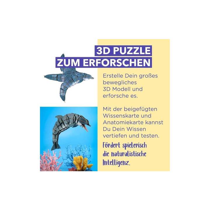 MIEREDU Animaux Puzzle 3D (83 x 83 x)