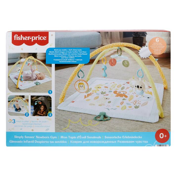 FISHER-PRICE Krabbeldecke & Spielbogen (Mehrfarbig)