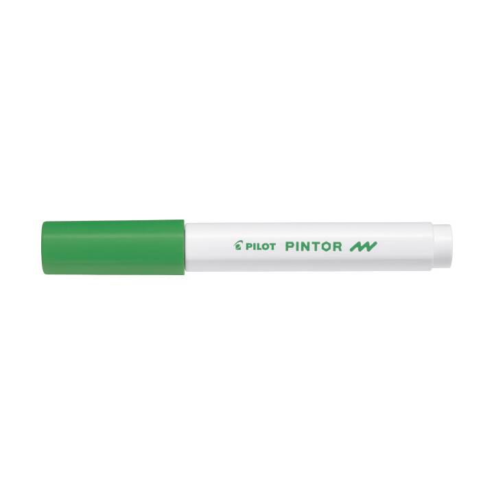 PILOT PEN Permanent Marker (Grün, 1 Stück)