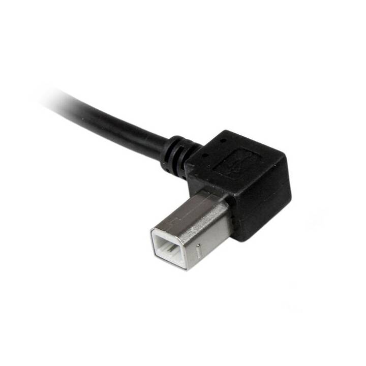 STARTECH.COM Câble USB (4-pôles, USB 2.0 de type A, 2 m)