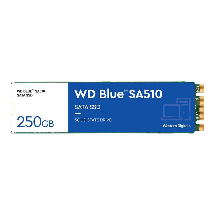 WESTERN DIGITAL SA510 (SATA-III, 250 GB)
