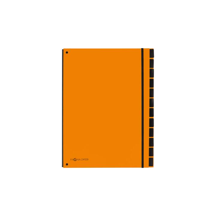 PAGNA Dossier d'index (Orange, A4, 1 pièce)