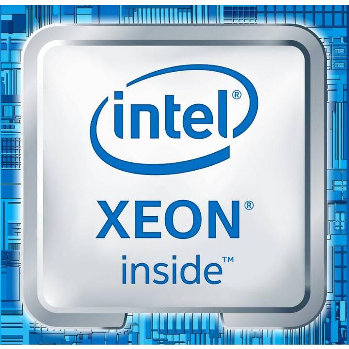 DELL PowerEdge T150 (Intel Xeon E, 8 GB, 2.8 GHz)