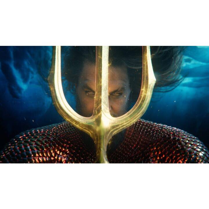 Aquaman: Lost Kingdom - Aquaman 2 (DE)