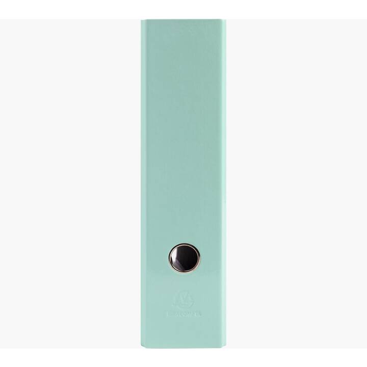 EXACOMPTA Classeur (A4, 8 cm, Mauve, Bleu pastel, Vert pastel)