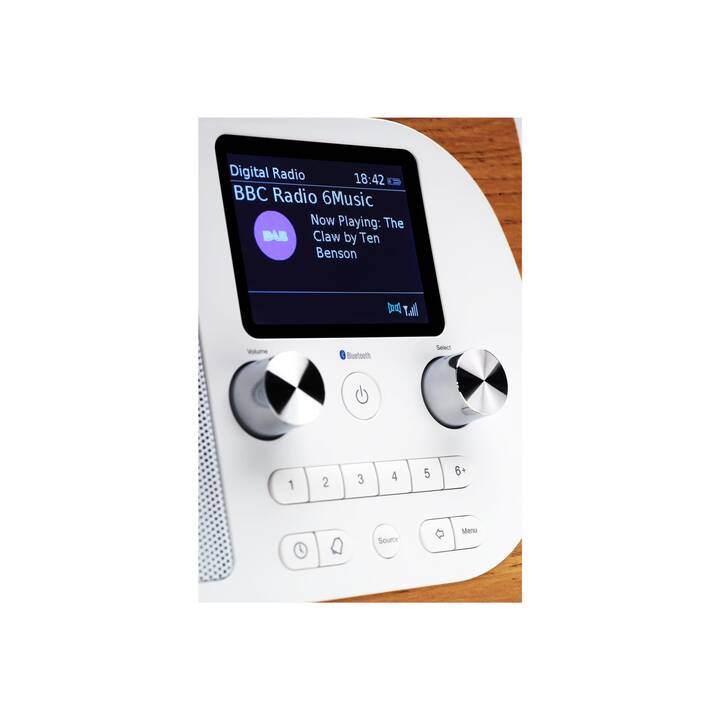 PURE Evoke H4 Digitalradio (Braun, Weiss)