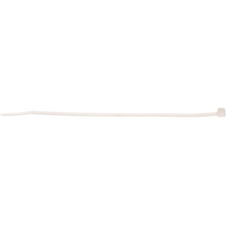 MAX HAURI Colliers de câbles natur (10 cm, 100 pièce)