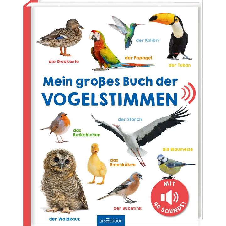 Mein grosses Buch der Vogelstimmen. Mit 40 Sounds