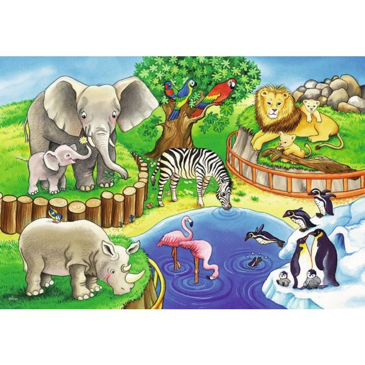 RAVENSBURGER Animali Puzzle (2 x 12 x, 24 x)