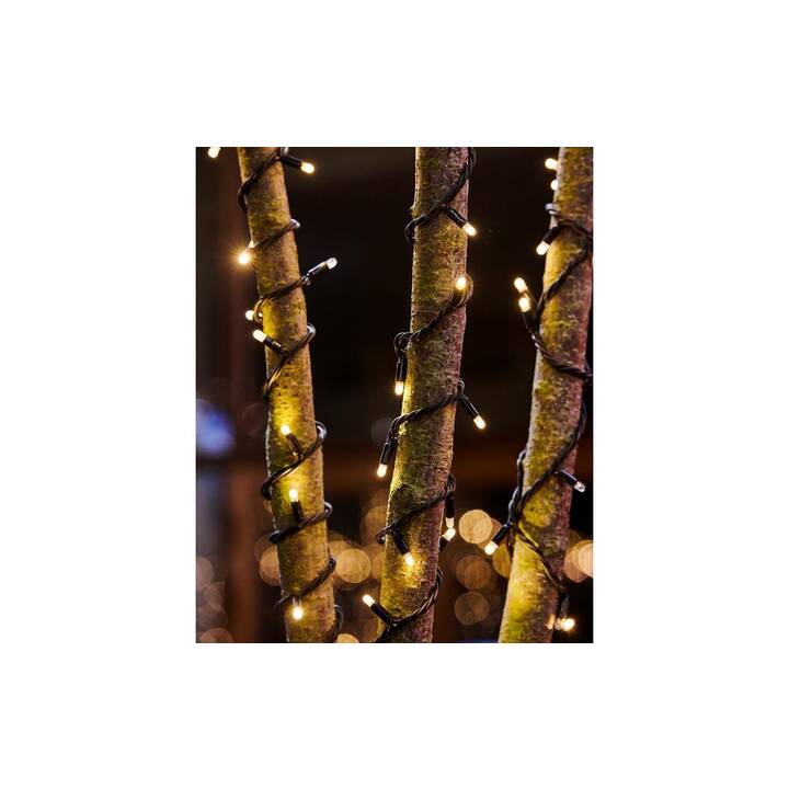 SIRIUS Ghirlanda di luci (50 LEDs, 500 cm)