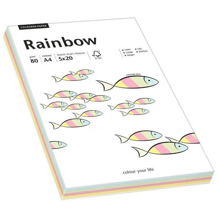 ANTALIS Rainbow Papier couleur (100 feuille, A4, 80 g/m2)