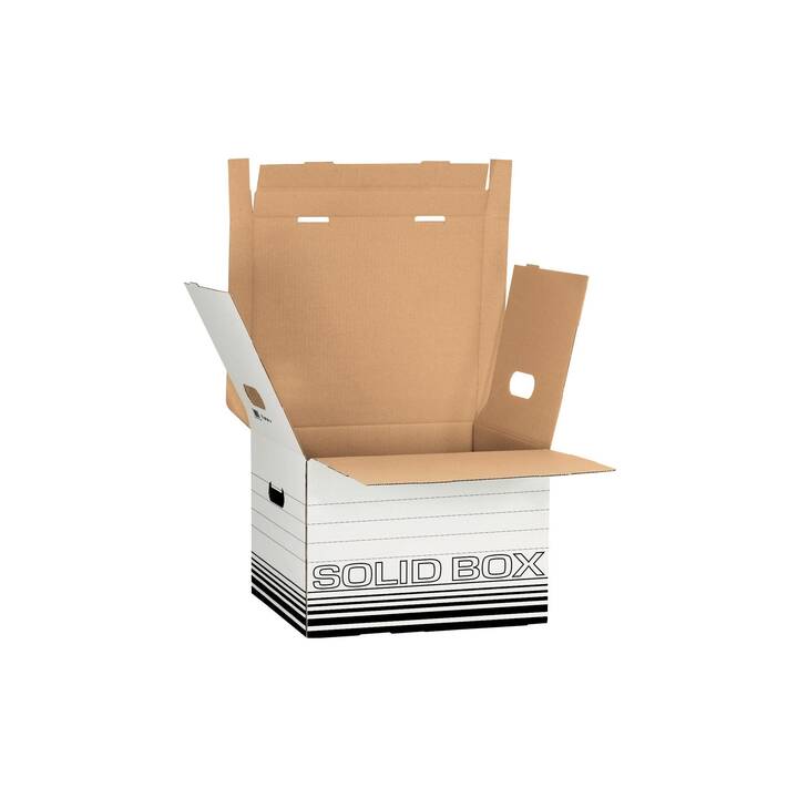LEITZ Archivbox Solid Box (32.5 cm x 36 cm x 27 cm)