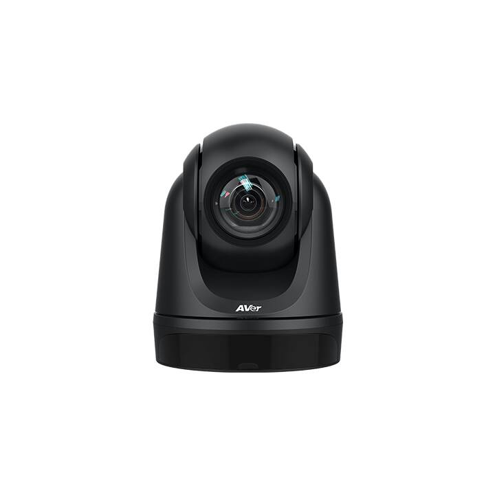 AVER DL30 Webcam (2 MP, Schwarz)