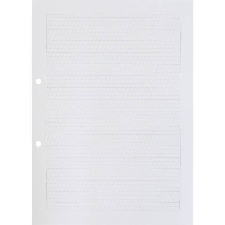 NATURALINE Foglio di input (A4, Rigato obliquo, 500 foglio)