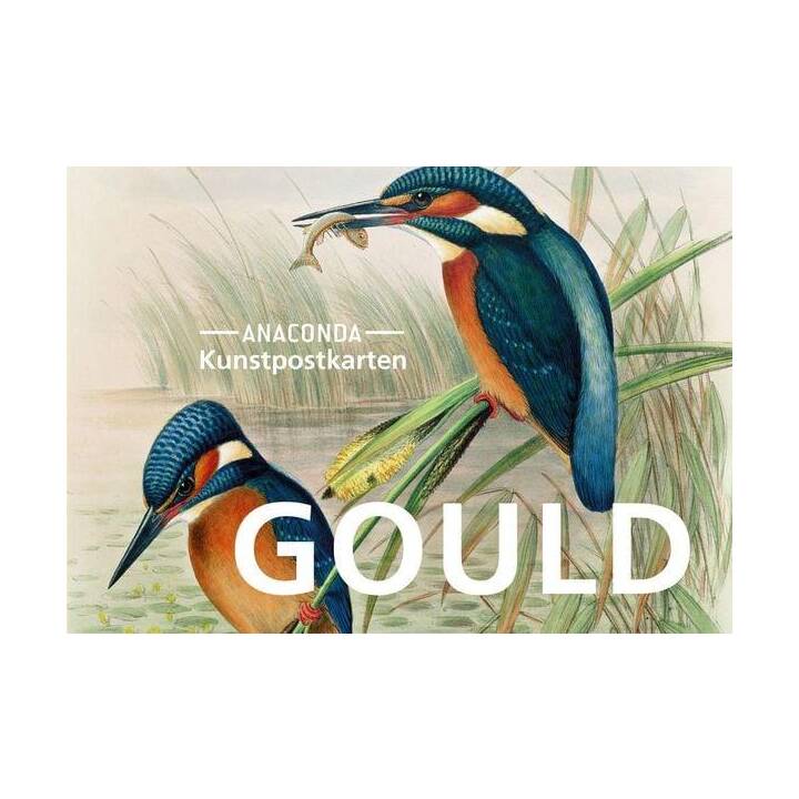 ANACONDA VERLAG Carte postale John Gould (Universel, Multicolore)