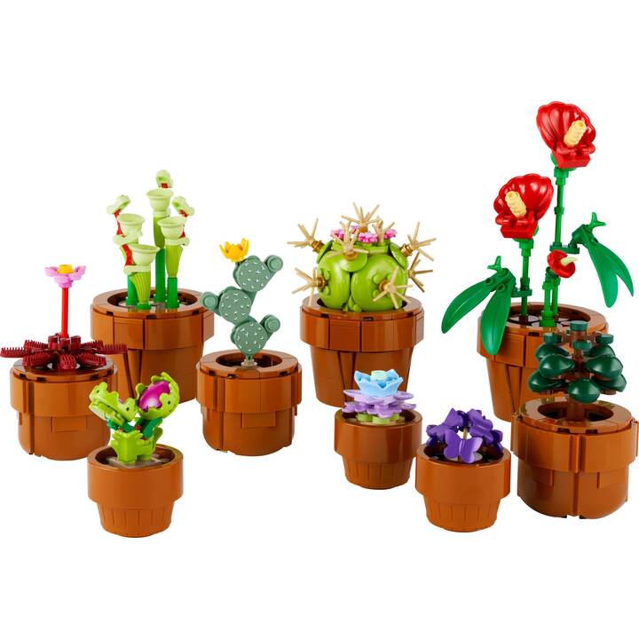 LEGO Icons Les plantes miniatures (10329)