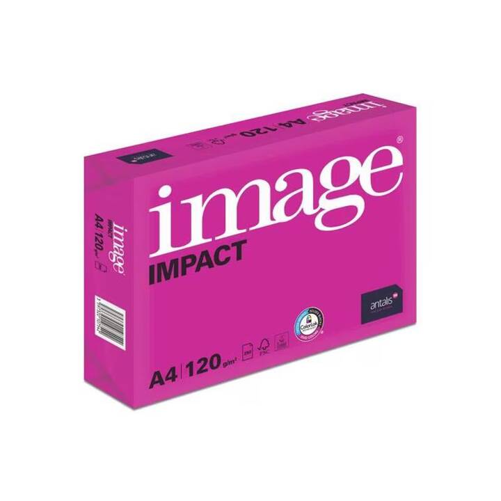 ANTALIS Impact Foglio di stampa universale (5 x 250 foglio, A4, 120 g/m2)